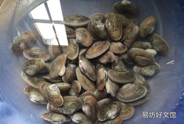 怎么样让花甲快速吐沙