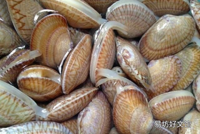 怎么样让花甲快速吐沙
