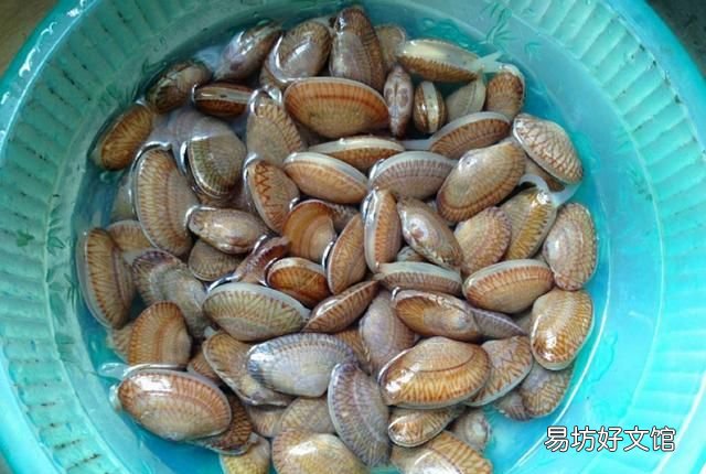 怎么样让花甲快速吐沙