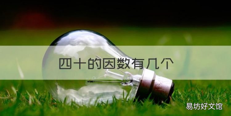 四十的因数有几个