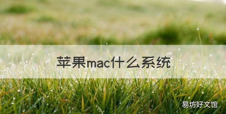Mac系统是什么,苹果mac什么系统