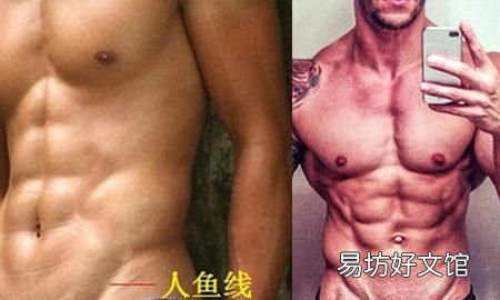 人鱼线好还是马甲线好,人鱼线和马甲线的区别