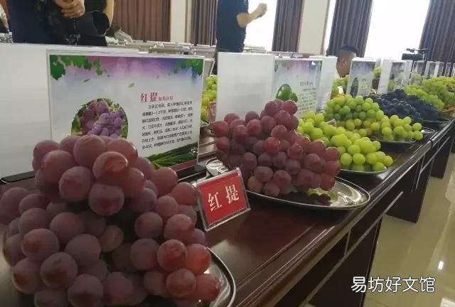 用面粉洗葡萄起什么作用 葡萄怎么清洗?