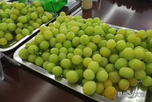 用面粉洗葡萄起什么作用 葡萄怎么清洗?