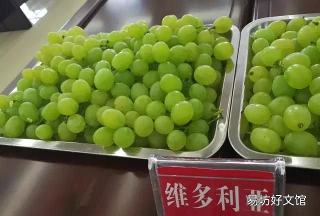 用面粉洗葡萄起什么作用 葡萄怎么清洗?