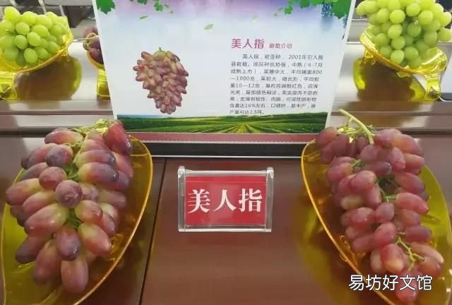 用面粉洗葡萄起什么作用 葡萄怎么清洗?