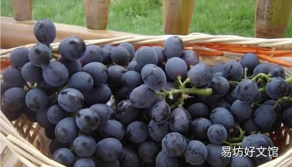 用面粉洗葡萄起什么作用 葡萄怎么清洗?