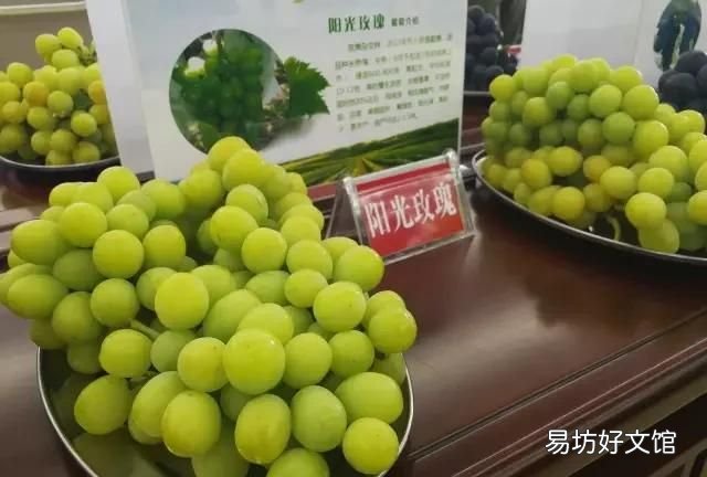 用面粉洗葡萄起什么作用 葡萄怎么清洗?