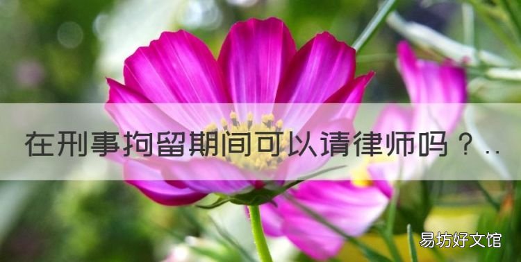 在刑事拘留期间可以请律师,刑事拘留期间可以请律师吗