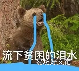 微信里有个小程序教怎么回信息的