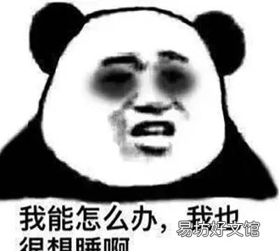 微信里有个小程序教怎么回信息的