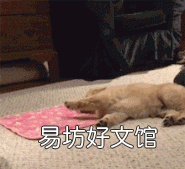 微信里有个小程序教怎么回信息的