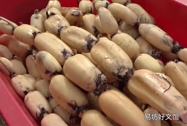 莲藕怎样保存的时间长一点