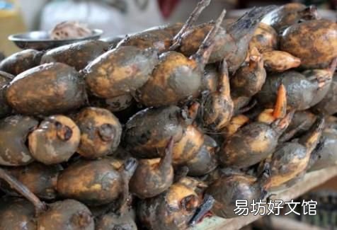 莲藕怎样保存的时间长一点