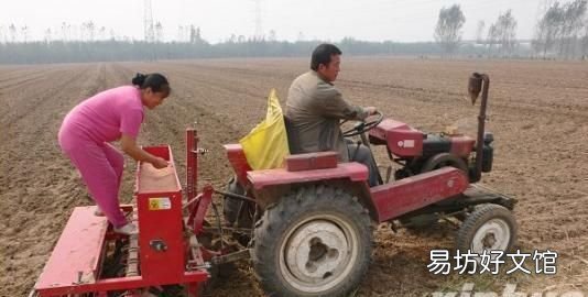 10月份是吃黄桃的季节吗