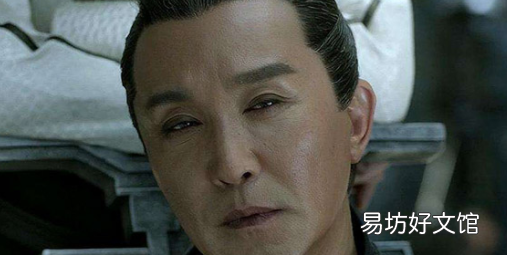庆余年陈萍萍是好人,陈萍萍是好人还是坏人为什么撤走黑骑