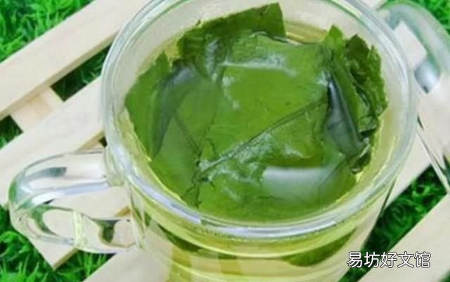 荷花叶泡水喝有什么功效,荷花叶有什么功效和作用