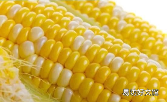 玉米要放冰箱吗，生玉米可以放冰箱冷藏吗