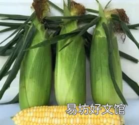 玉米要放冰箱吗，生玉米可以放冰箱冷藏吗