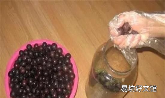 采摘葡萄的季节快要来了,自己做葡萄酒该怎么做
