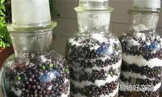 采摘葡萄的季节快要来了,自己做葡萄酒该怎么做