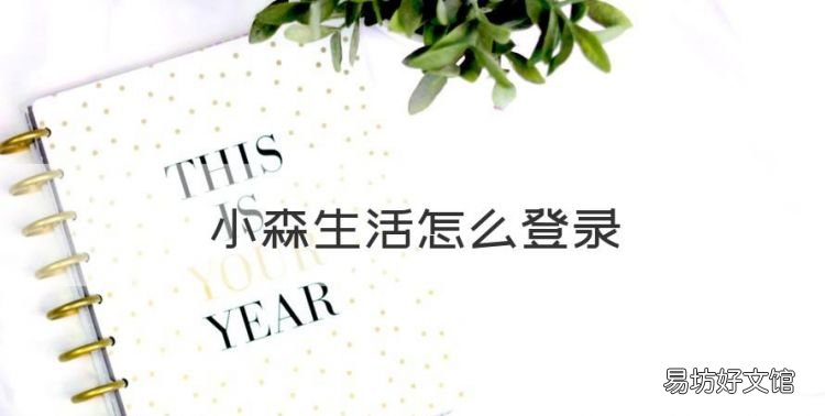 小森生活怎么登录,小森生活如何查看id