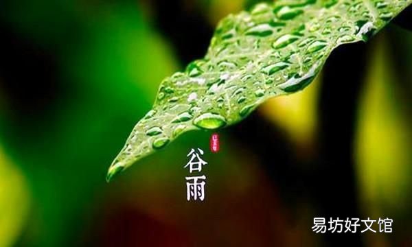 谷雨是什么意思呢,二十四节气谷雨是什么意思