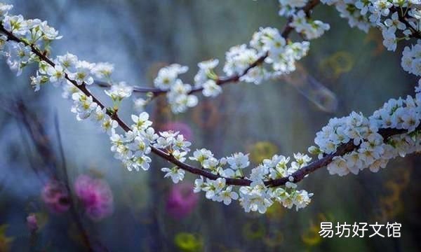 谷雨是什么意思呢,二十四节气谷雨是什么意思