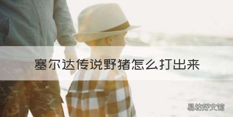塞尔达野猪怎么抓,塞尔达传说野猪怎么打