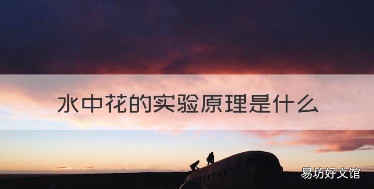 水中花的实验原理是什么