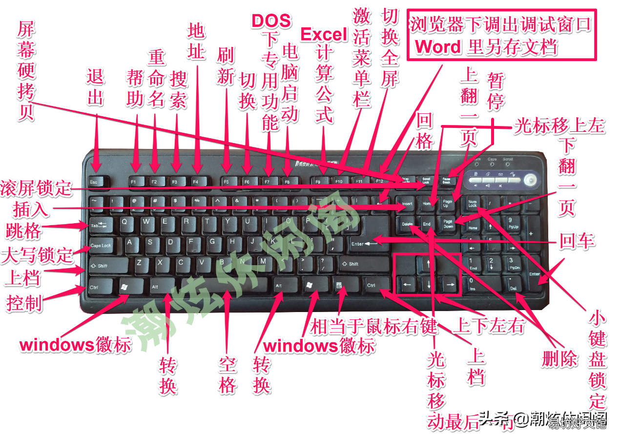 新手快速入门最全指南 电脑键盘功能基础知识图解