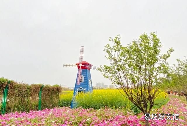 东莞向日葵花海在哪里:东莞最值得游玩的五个赏花景点