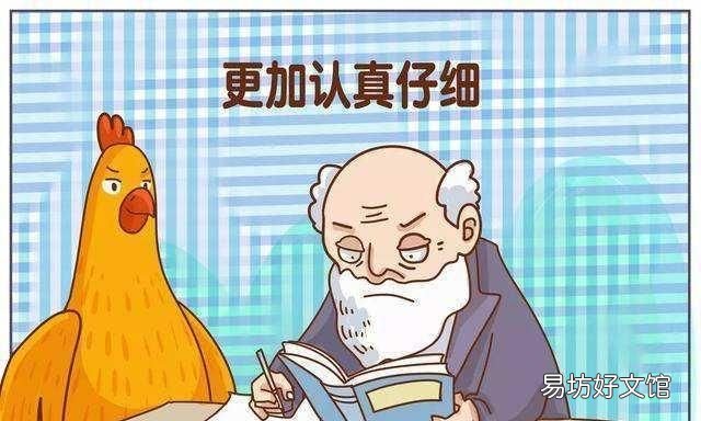 理想与现实的关系是什么?