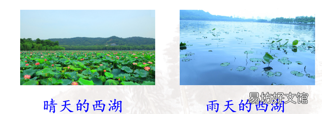 三年级语文上册饮湖上初晴后雨的诗意