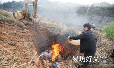 消毒灭菌的方法有哪些 日常生活中的消毒剂