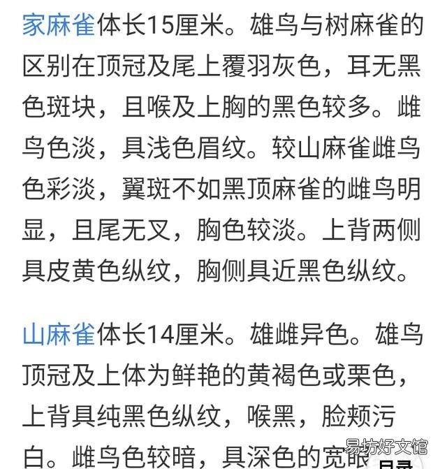 麻雀是益鸟还是害鸟,农村有很多的麻雀,麻雀是害鸟还是益鸟呢