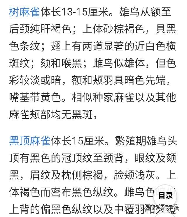 麻雀是益鸟还是害鸟,农村有很多的麻雀,麻雀是害鸟还是益鸟呢