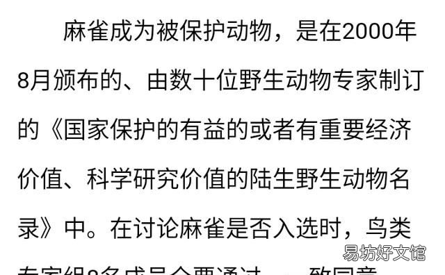 麻雀是益鸟还是害鸟,农村有很多的麻雀,麻雀是害鸟还是益鸟呢