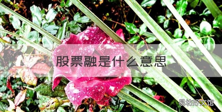 股票融是什么意思,股票代码后面的创和融是什么意思