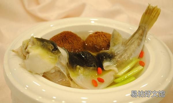 河豚哪里有毒,河豚鱼真的有毒吗