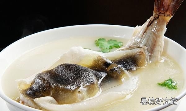 河豚哪里有毒,河豚鱼真的有毒吗