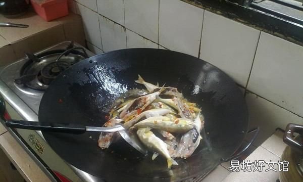 河豚哪里有毒,河豚鱼真的有毒吗