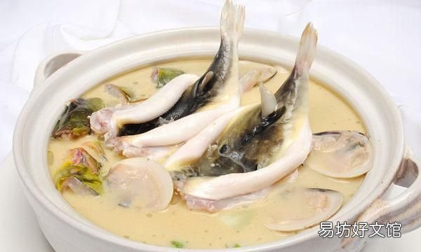 河豚哪里有毒,河豚鱼真的有毒吗