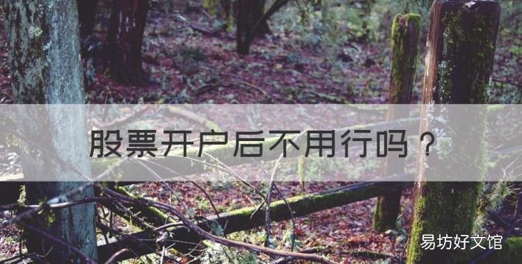股票开户后不用行,股票账户开户后不使用会不会产生费用呢