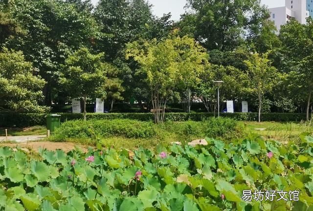 他日若遂凌云志敢笑黃巢不丈夫是什么意思：《水滸傳》中宋江說“敢笑黃巢不丈夫”是什么意思？