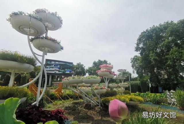 他日若遂凌云志敢笑黃巢不丈夫是什么意思：《水滸傳》中宋江說“敢笑黃巢不丈夫”是什么意思？