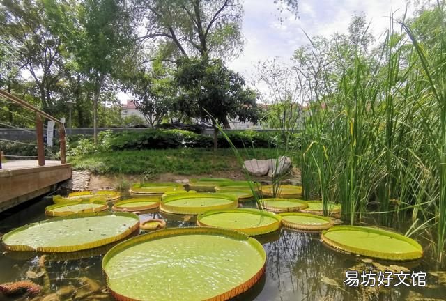 他日若遂凌云志敢笑黃巢不丈夫是什么意思：《水滸傳》中宋江說“敢笑黃巢不丈夫”是什么意思？