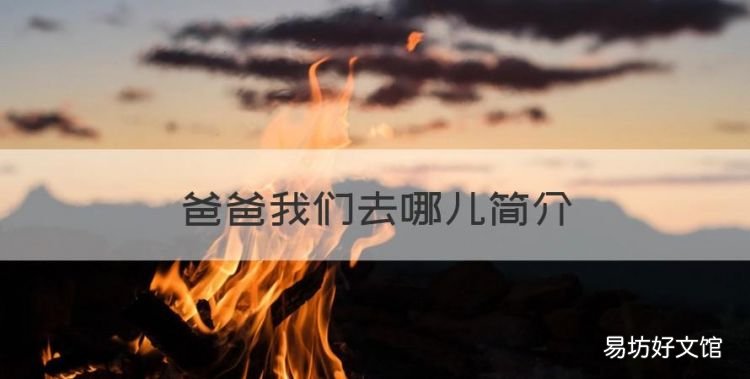 爸爸我们去哪儿简介，韩国版爸爸去哪儿第一季名单
