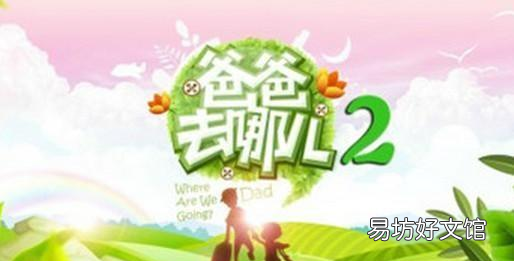 爸爸我们去哪儿简介，韩国版爸爸去哪儿第一季名单