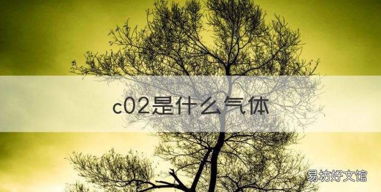 c02是什么气体,co2是什么气体